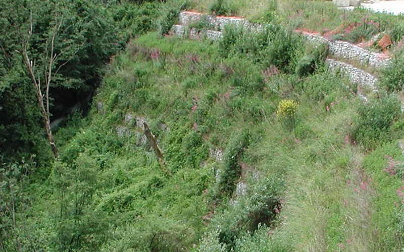 Terra rinforzata rinverdita a Casette